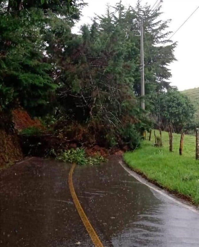 Policy on Substitutions